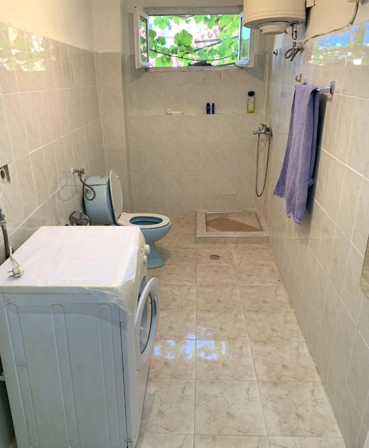 Apartament Aleko's Double *